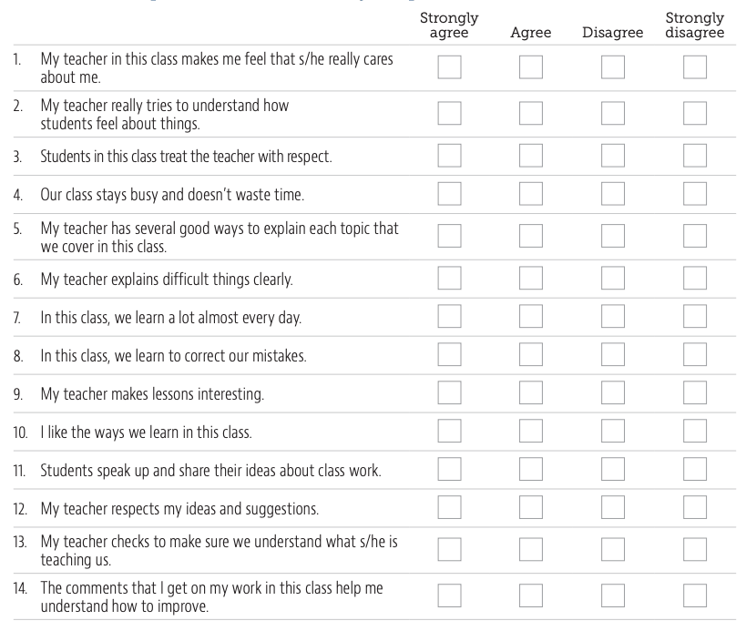 sample fragment from a 2013 version of the Tripod survey for students